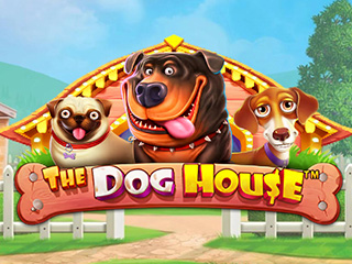The Dog House